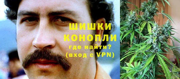 PSILOCYBIN Арсеньев