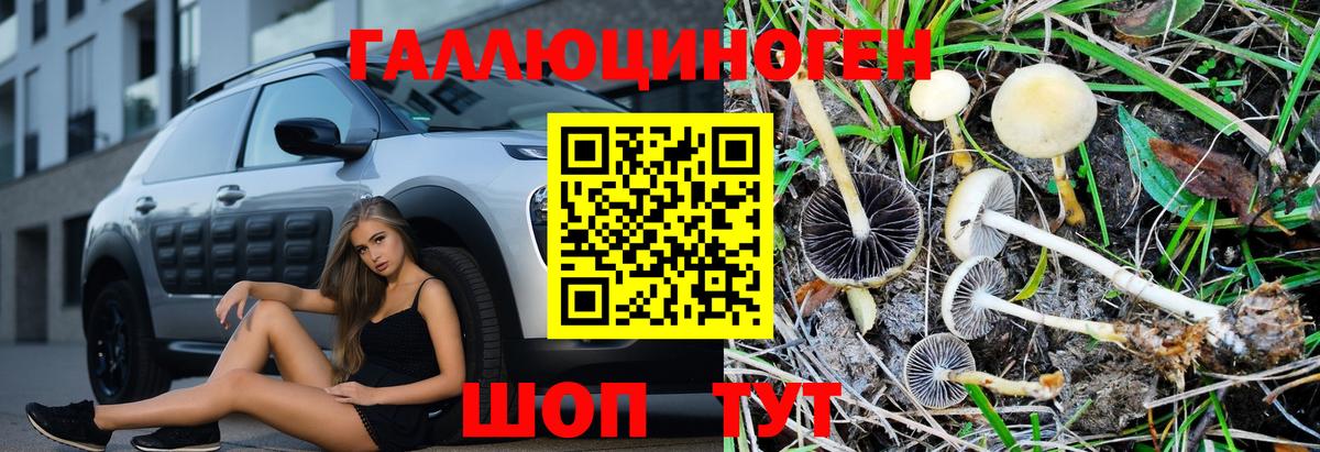 Псилоцибиновые грибы Psilocybe  Вход с VPN  Балахна  Галлюциногенные грибы мухоморы 