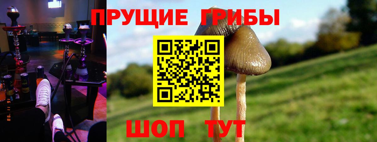 Галлюциногенные грибы мухоморы Балахна